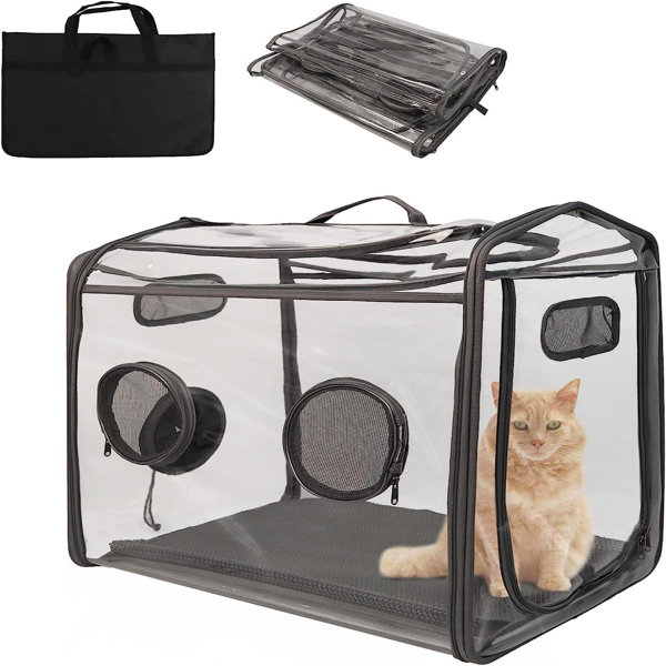 ACEM Foldable Pet Carrier Wayfair